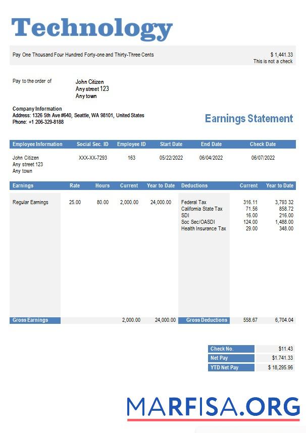 Downloadable Technology company paystub real example